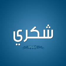 تركيب نظام مبيعات ومحاسبة لشركة  شكري